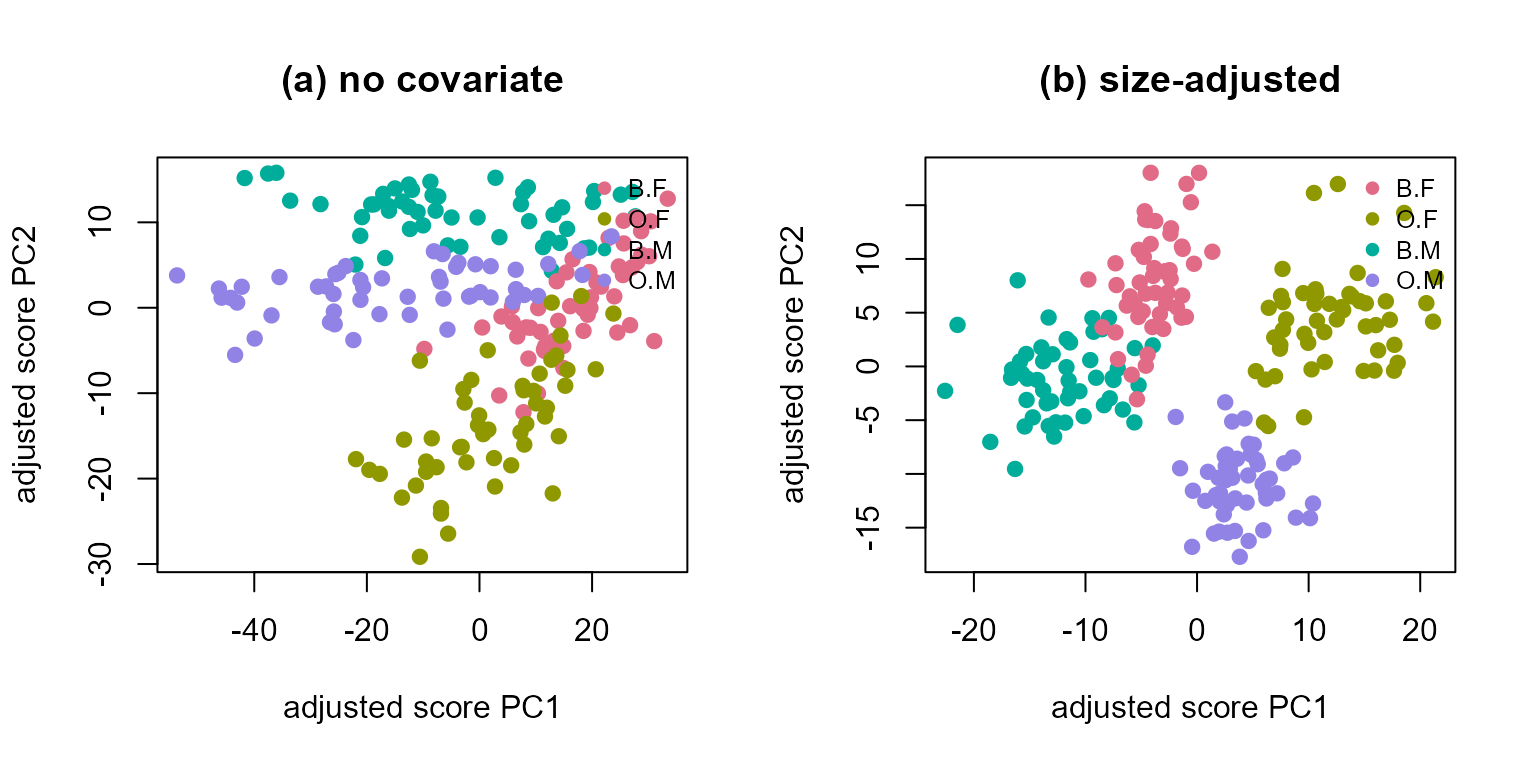 Two adjusted-score scatterplots coloured by the four crab groups: without covariate the groups smear along a size gradient; after adjusting for size they separate into four clusters.